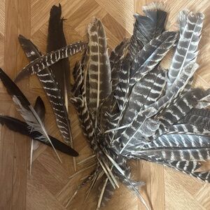 Large Natural wild feathers